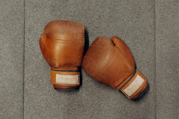 BOXING GLOVES boxing