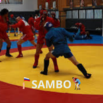 Sambo