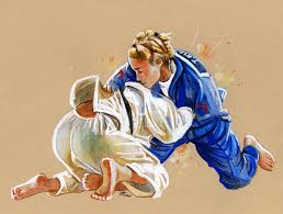 jiu jitsu
