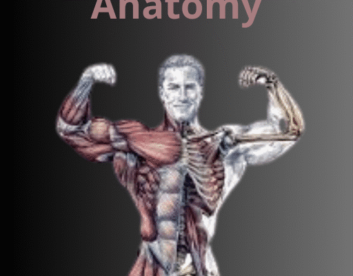 Strength Training Anatomy Book Review: Unlocking the Science Behind Muscle Growth Strength Training Anatomy (1)